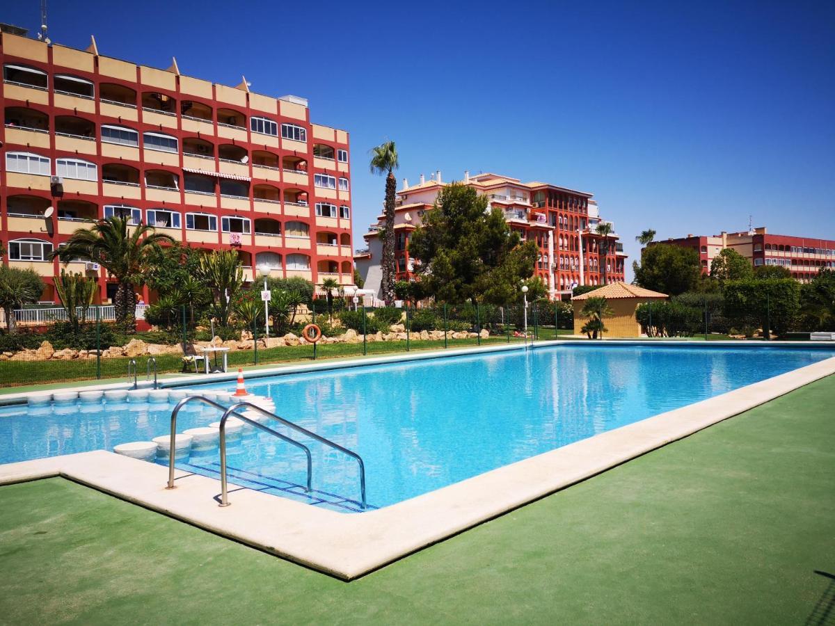 Studio With Terrace And Pool Τορεβιέχα Εξωτερικό φωτογραφία