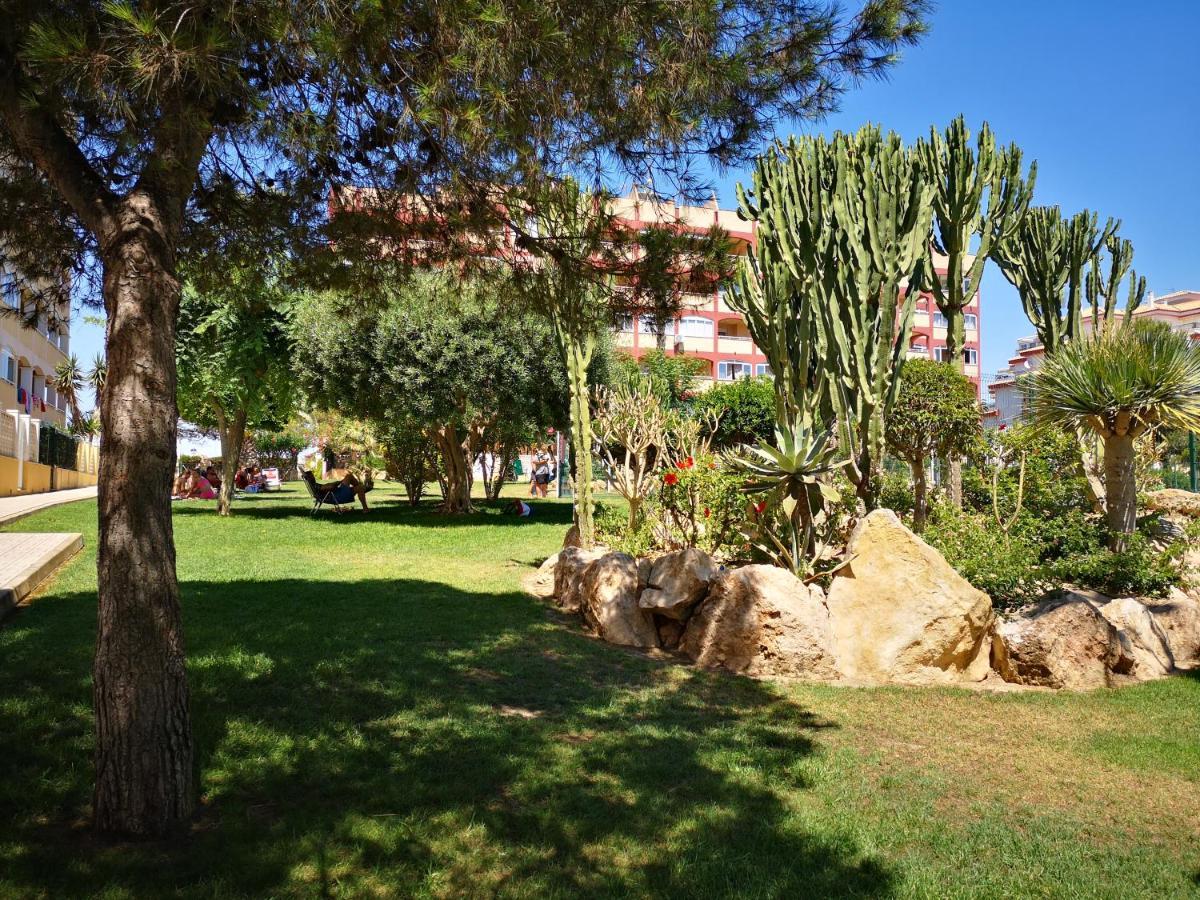 Studio With Terrace And Pool Τορεβιέχα Εξωτερικό φωτογραφία