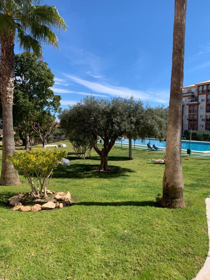 Studio With Terrace And Pool Τορεβιέχα Εξωτερικό φωτογραφία